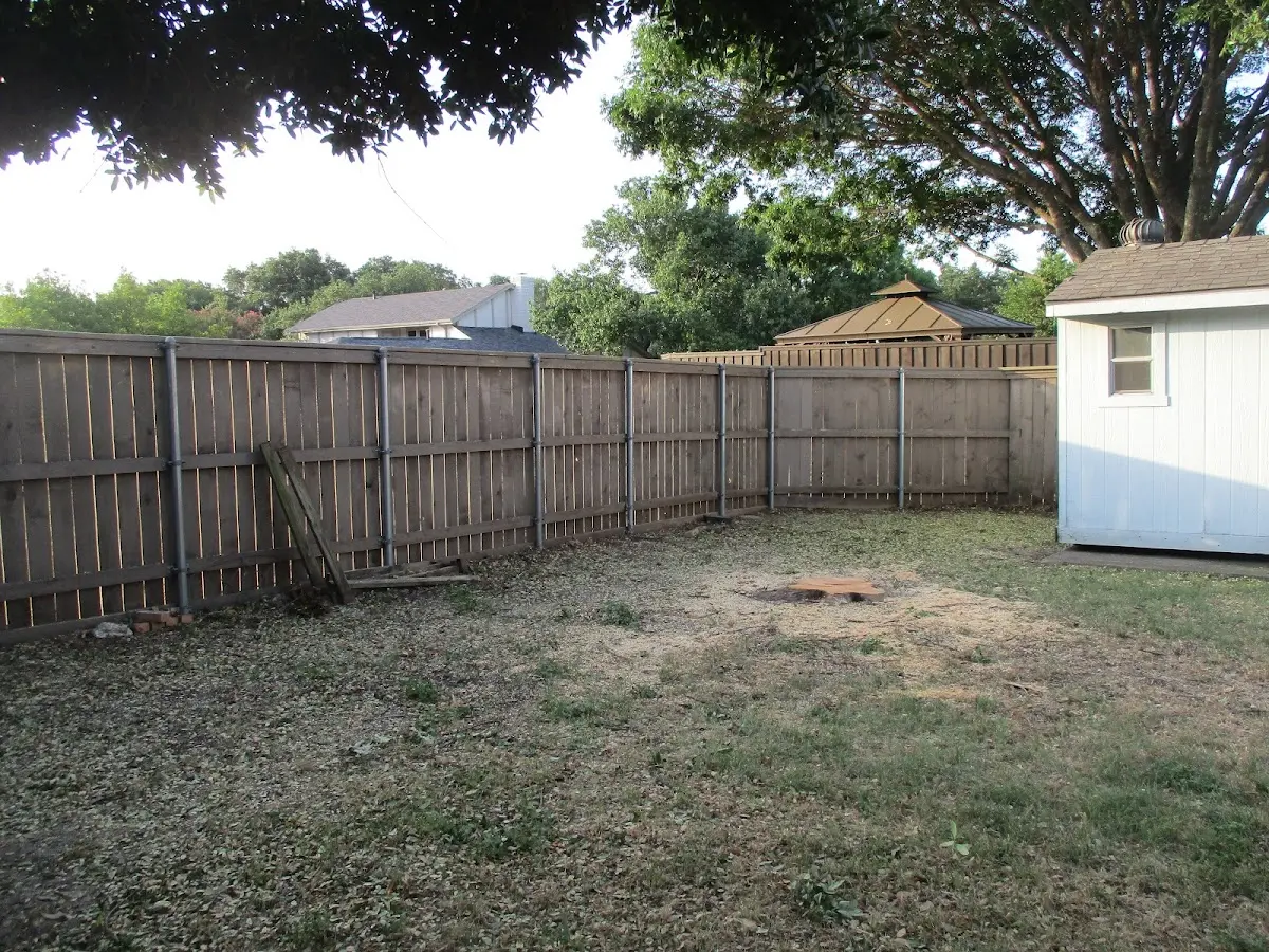 Cleared yard after professional tree removal in Alpharetta